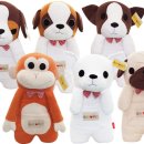 씨티에프 이미지