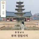 부여(사비)-25 | 부여 아이랑 가볼만한곳 충남 역사 여행 정림사지 볼거리 주차팁까지