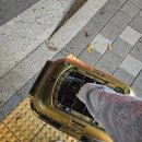 성신동물병원 | 고양이 혈뇨 방광염 성신여대vip 24시 동물병원 후기