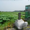 선인3리 Daum카페