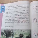 홍시PC | [공지] [4-최종일지] 기적의 독해력 P2권, 1권 기본편/초1/학습일지