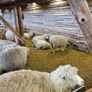 성보목장 이미지