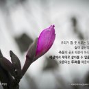 보통천 이미지