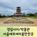 정림사지 박물관 부여 비올때 가볼만한곳