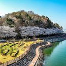 선진공원 주차장 티스토리