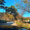 돌배야영장(제2야영장) 이미지