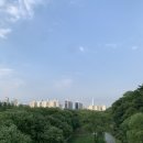 바른치킨 대치점