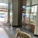 사성암 관광안내소 이미지