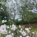 오천그린광장 이미지