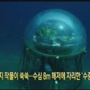 수중농장 이미지