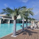 엘리스테이보령 이미지