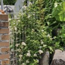 늘푸른펜션민박 이미지