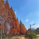 숲정원 이미지