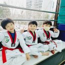 청솔태권도 이미지