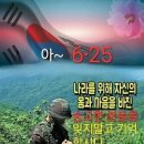 625 Daum카페