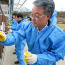 클린환경제주 이미지