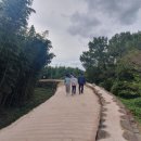 낙안돼지국밥