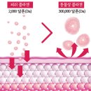 리즈커머스 이미지
