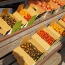 토마루농장 이미지