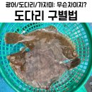 도다리 광어 가자미 이미지