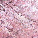 엘리필라테스스튜디오