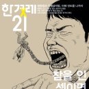 씨앤에이엑스퍼트