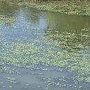 주호배수펌프장 이미지