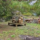 동해시-3 이미지