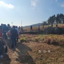 2023 청정완도 가을 섬여행 이미지