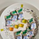 GS25 야당초원점 | GS편의점 신상 얼려먹어도 되는 간식 구해줘 바다 동물 젤리 추천