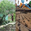 조계산장 이미지