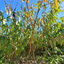 (주)이원환경 이미지