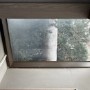 청주 프라우삼성산부인과 산후검진 후기