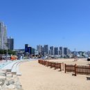 다대포해수욕장 이미지