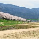 황산공원 이미지