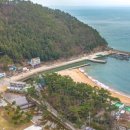 베베올레 이미지