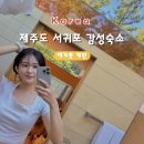 북큐레이션과 독서지도 과정 | [제주도 서귀포 감성 숙소] 에가톳 캐빈 woozoo에서 1박 및 조식, 북큐레이션 후기