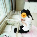 톰퍼피 강아지 분양 | 건강하고 귀여운 인천강아지분양 홍스퍼피 방문후기