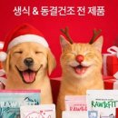 판타펫코리아 이미지