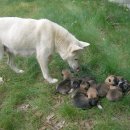 하늘내린강산 이미지