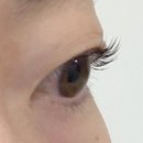 광주전자공업고등학교카뷰티샵 | [명지대속눈썹] 더미뷰티 속눈썹펌 솔직 후기