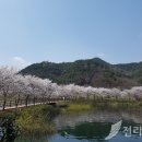 제192차 종산산행-금평저수지 둘레길 산행 신청방 이미지