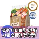 식스 밸런스(SIX BALANCE) | 사료 유목민 끝! 식스프리플러스, 집사라면 주목할 이유