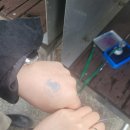 도장농장 이미지