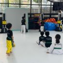 바르다 태권도 이미지