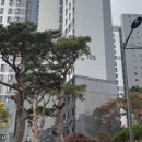 놀이터존 이미지