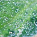 ＜주일 설교＞ [453] 요한계시록 17:1-6 (큰 음녀에 대한 심판 예고 및 음녀의 모습과 죄상) (20260726) ​ 이미지