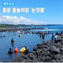 예래로 | 제주 중문 물놀이장 중문색달해수욕장 색달생수천 예래 논짓물 비교 후기