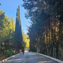 큰소낭 작은돌집 | [튀르키예/셀축] 터키에 성모 마리아 집이 있다는 사실! 알고 계셨나요? :: 에페소 여행지 추천