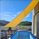 가덕 코이 이미지